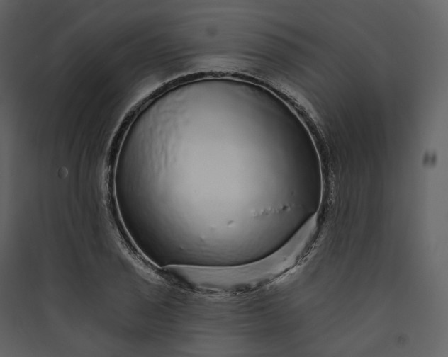 X0000089961029200707131532