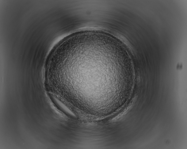 X0000089961030200707131532