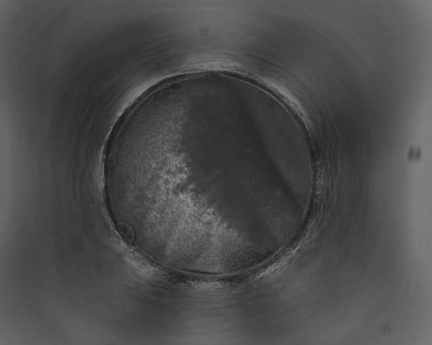 X0000089961031200707131532