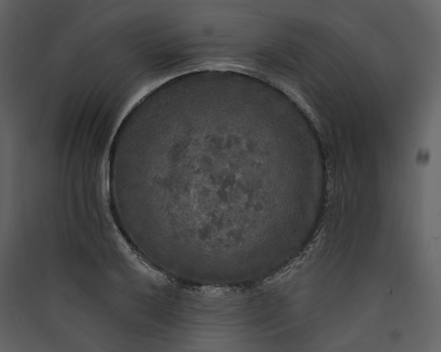 X0000089961032200707131532