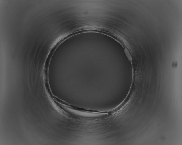 X0000089961034200707131532