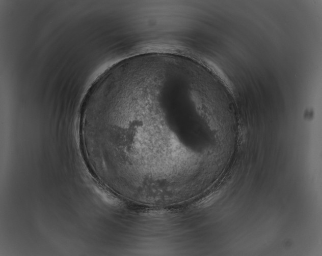 X0000089961035200707131532