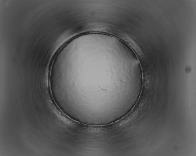 X0000089961036200707131533