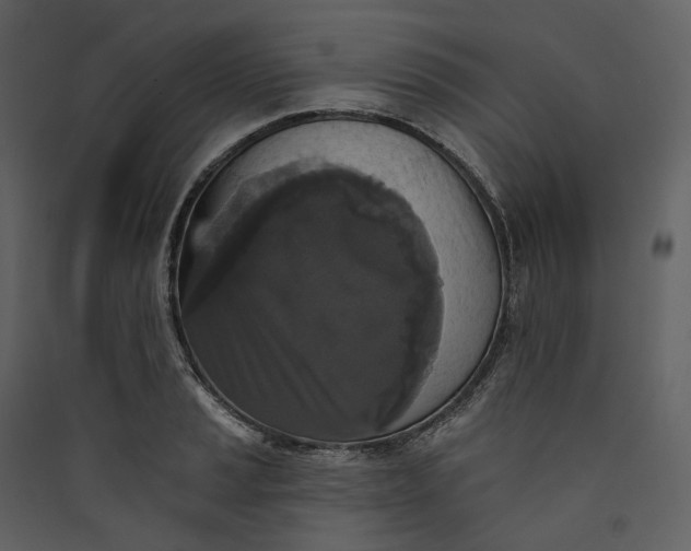 X0000089961037200707131533