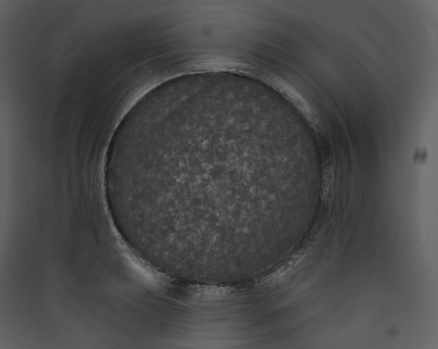 X0000089961039200707131533
