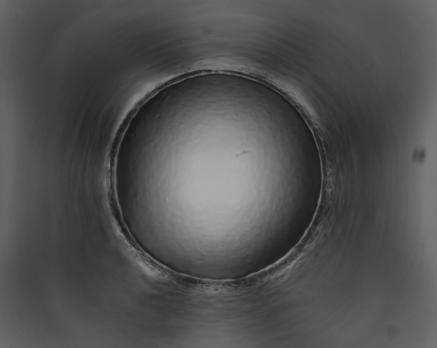 X0000089961040200707131533