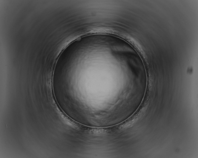 X0000089961041200707131533