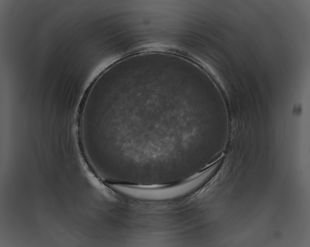 X0000089961042200707131533