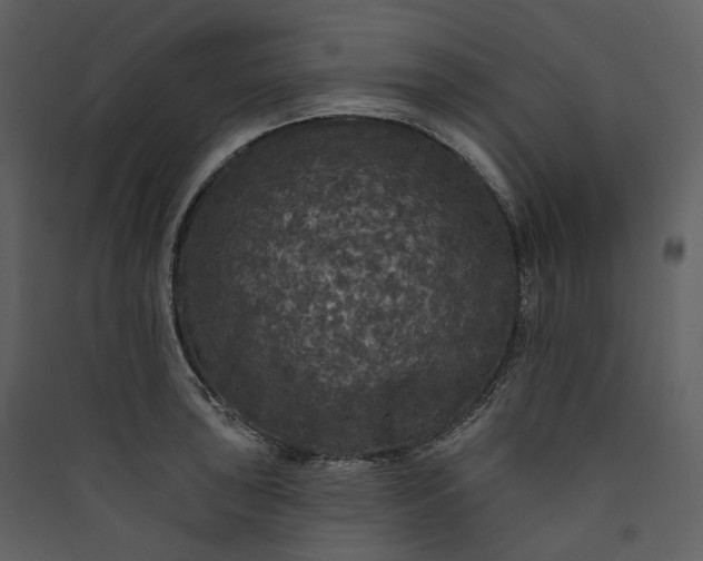 X0000089961043200707131533
