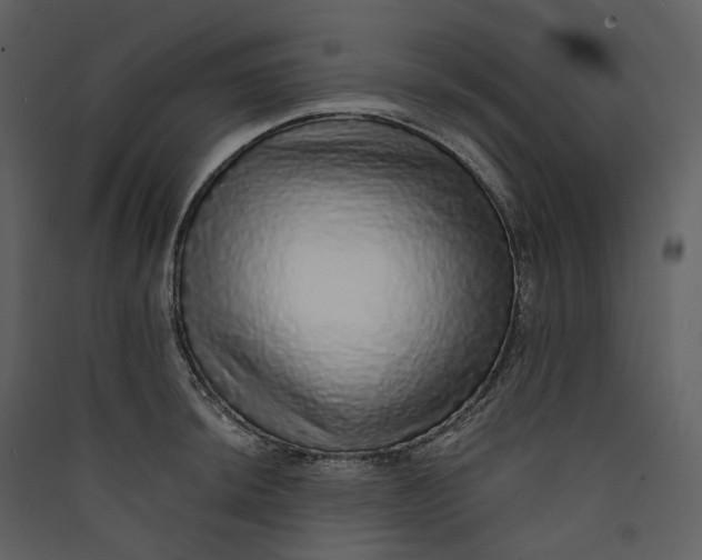 X0000089961044200707131533