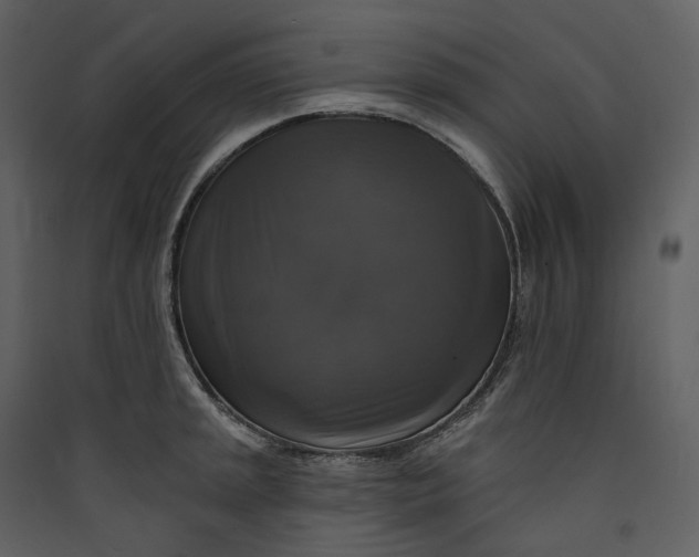 X0000089961045200707131533