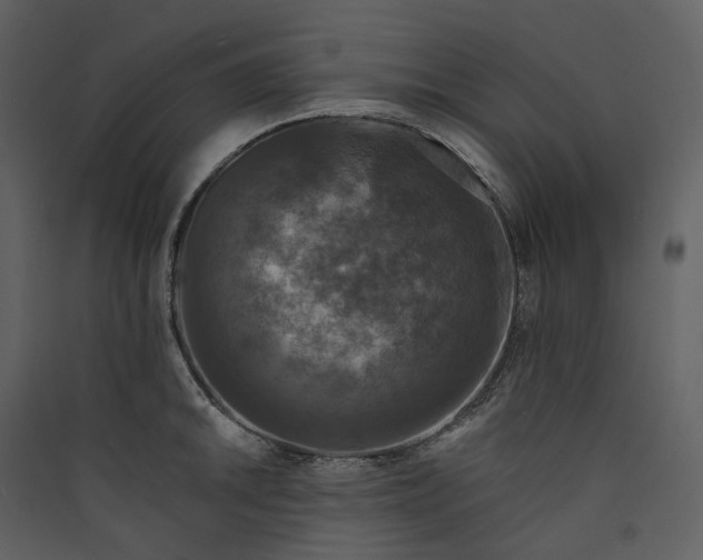 X0000089961046200707131533