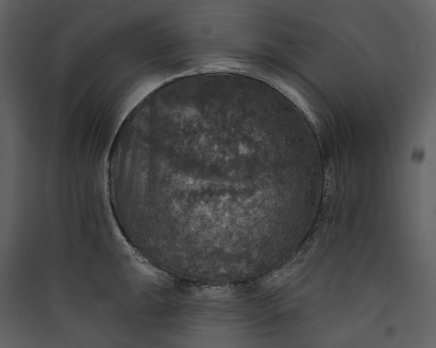 X0000089961047200707131533