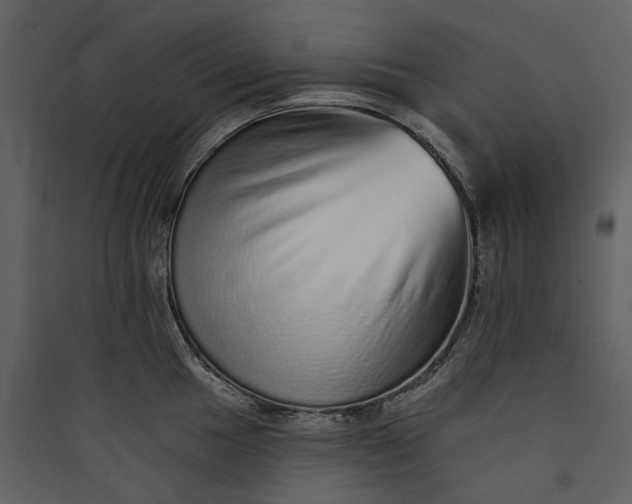 X0000089961049200707131533
