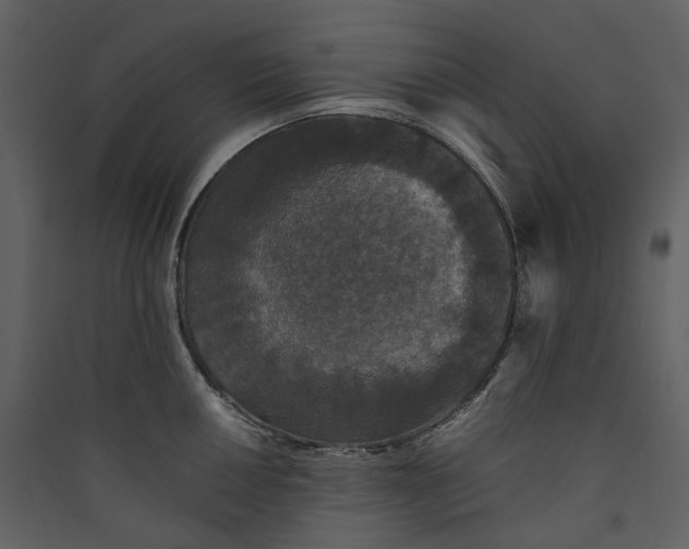 X0000089961050200707131533
