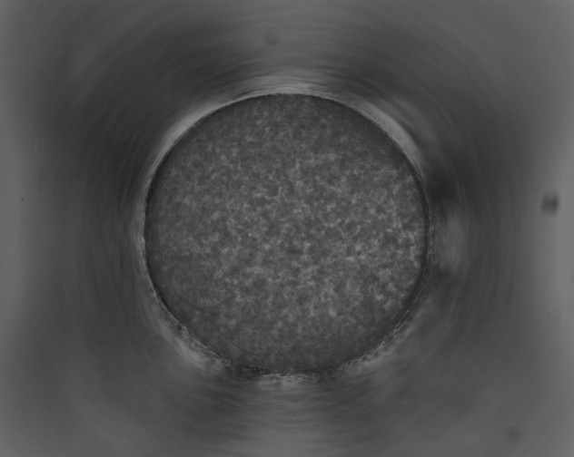 X0000089961051200707131533