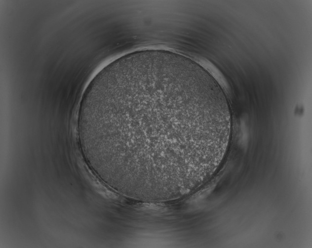 X0000089961052200707131533
