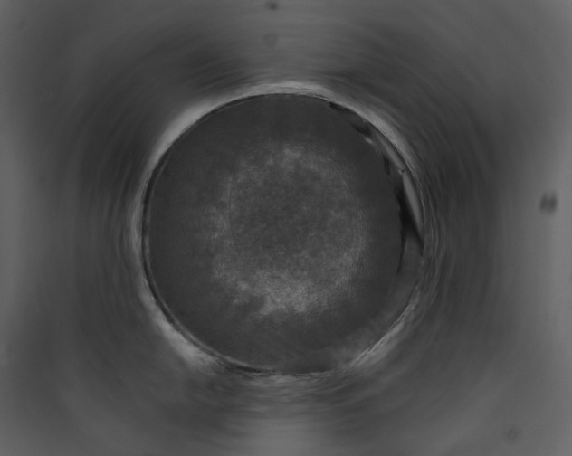 X0000089961054200707131533