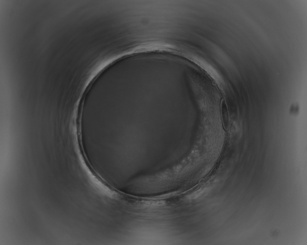 X0000089961055200707131533