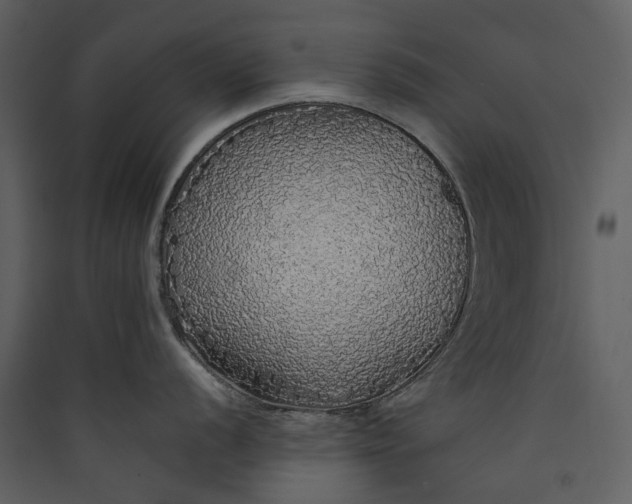 X0000089961056200707131533