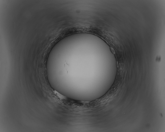 X0000089961057200707131532