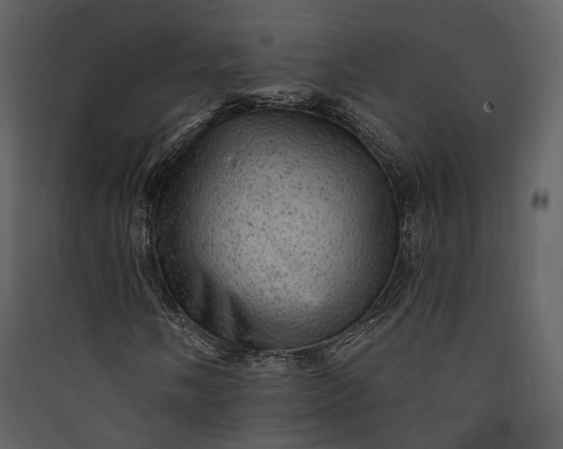 X0000089961058200707131532