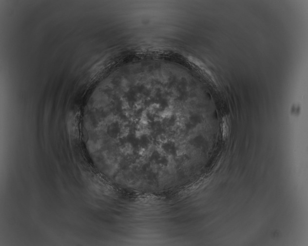 X0000089961059200707131532
