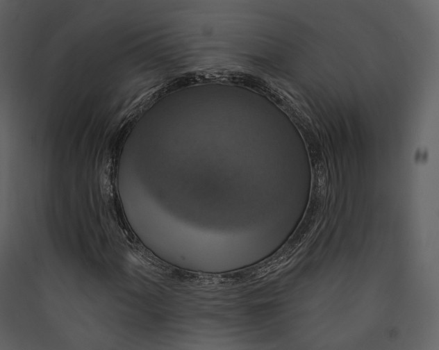 X0000089961060200707131532