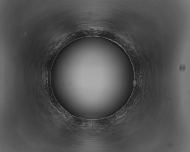 X0000089961061200707131532