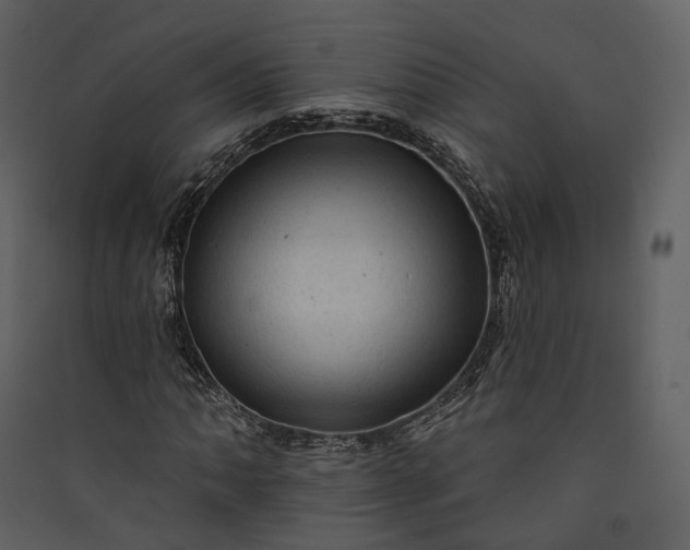 X0000089961062200707131532