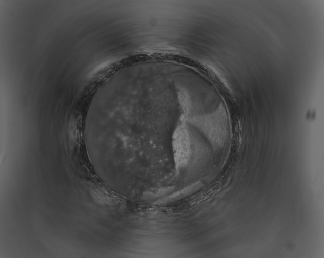 X0000089961063200707131532