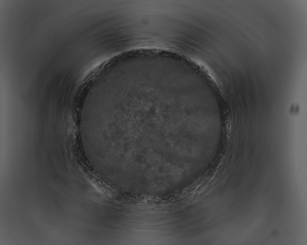 X0000089961064200707131532