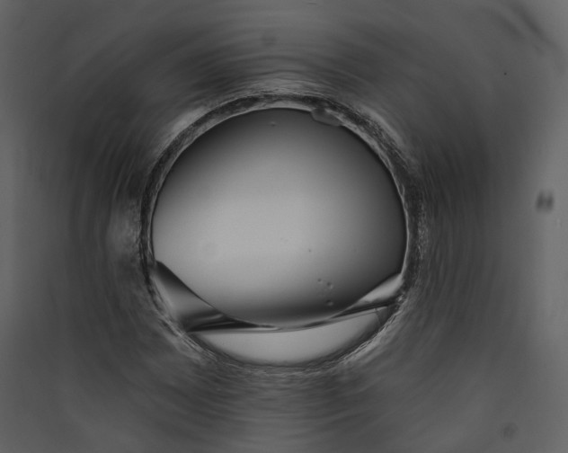 X0000089961065200707131532
