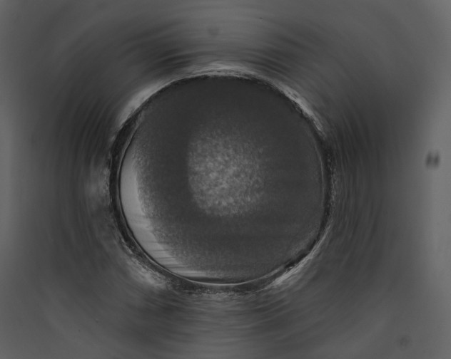 X0000089961066200707131532