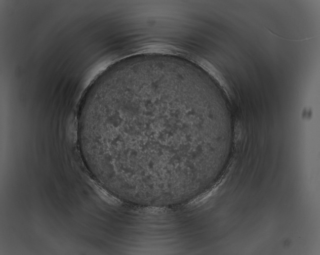 X0000089961067200707131532