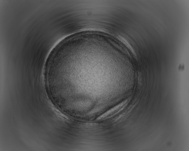 X0000089961068200707131532