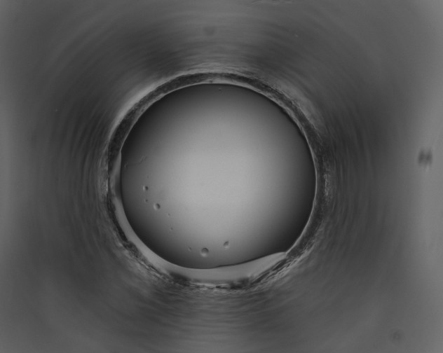 X0000089961069200707131532