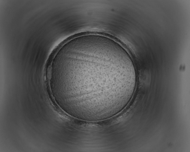 X0000089961070200707131532