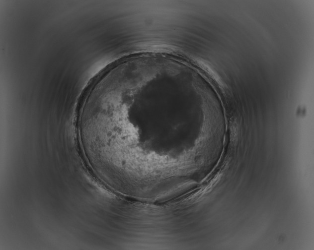 X0000089961071200707131532