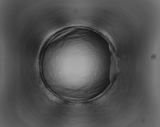 X0000089961072200707131532