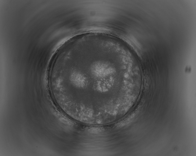 X0000089961074200707131532