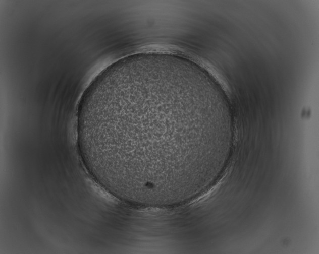 X0000089961075200707131532