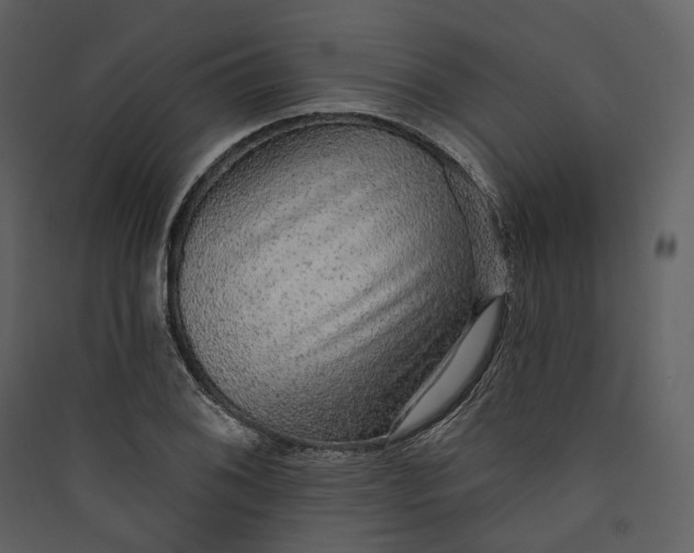 X0000089961076200707131532