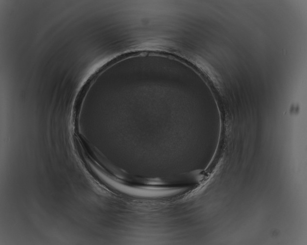 X0000089961077200707131532