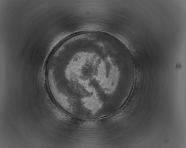 X0000089961078200707131532