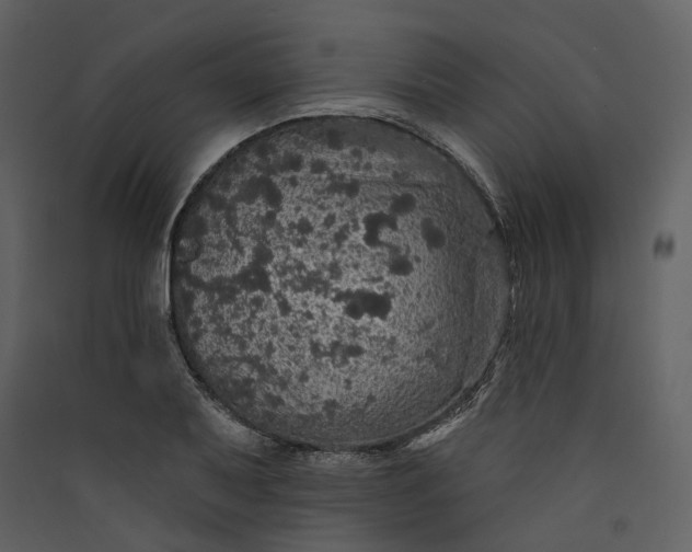 X0000089961079200707131532