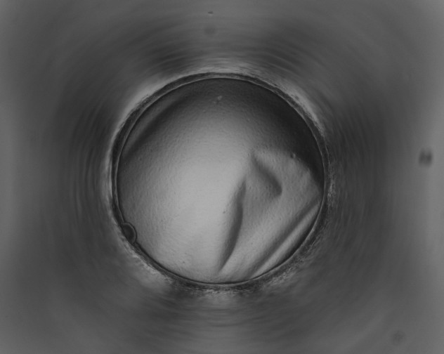 X0000089961080200707131532