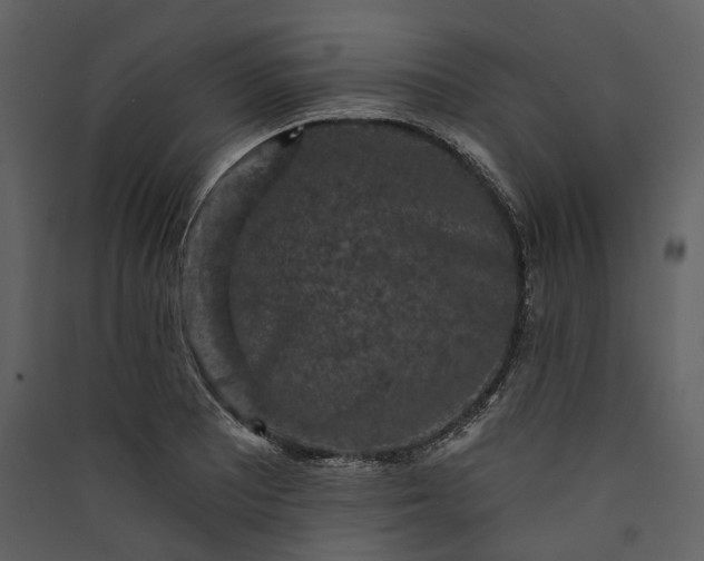X0000089961081200707131532