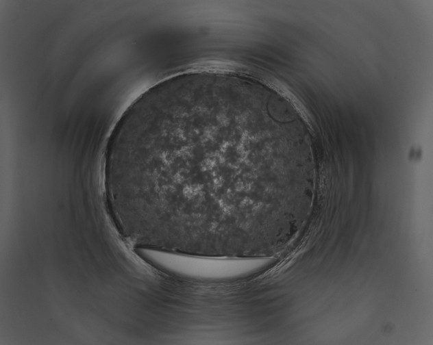 X0000089961083200707131532