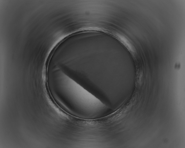 X0000089961084200707131532